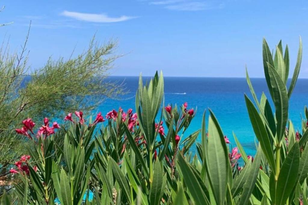 Boutique Apartment With Beach Within Walking Distance, Near Tropea بارغيليا المظهر الخارجي الصورة